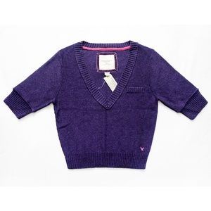 NWT AMERICAN EAGLE Sexy Cropped V-Neck Sweater M
